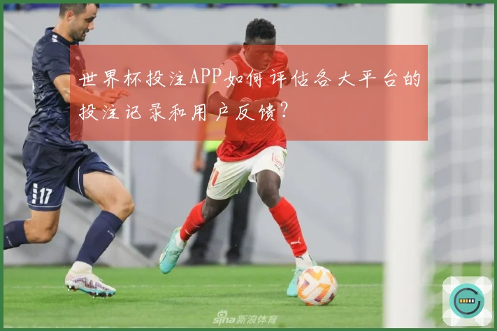 世界杯投注APP如何评估各大平台的投注记录和用户反馈？