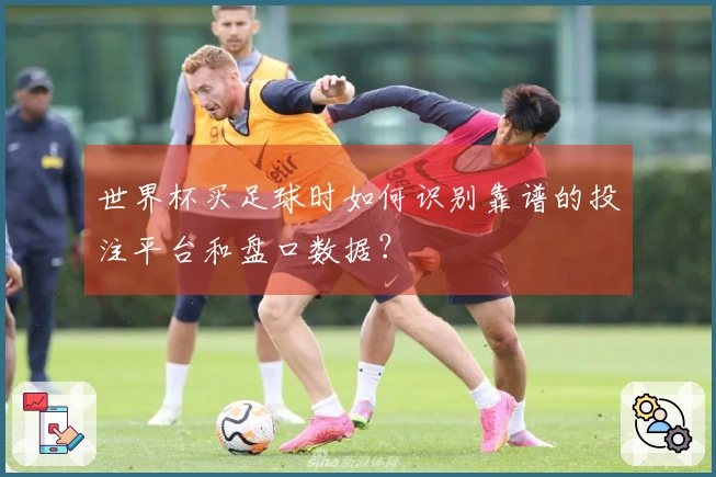 世界杯买足球时如何识别靠谱的投注平台和盘口数据？