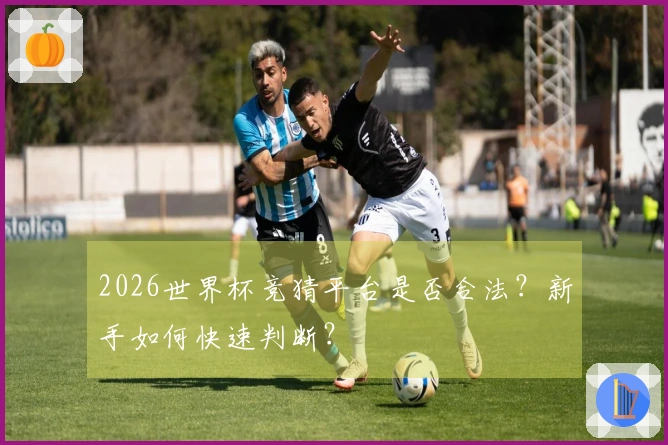 2026世界杯竞猜平台是否合法？新手如何快速判断？