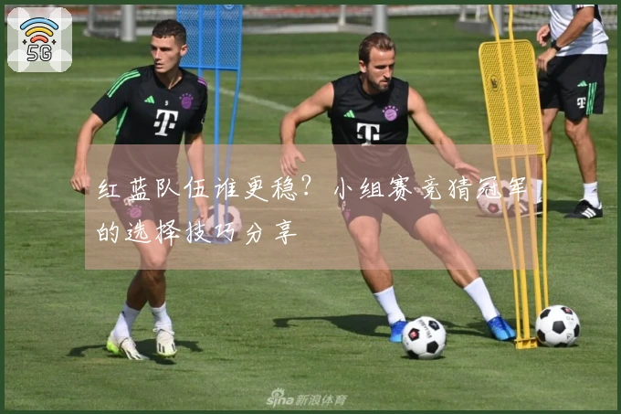 红蓝队伍谁更稳？小组赛竞猜冠军的选择技巧分享