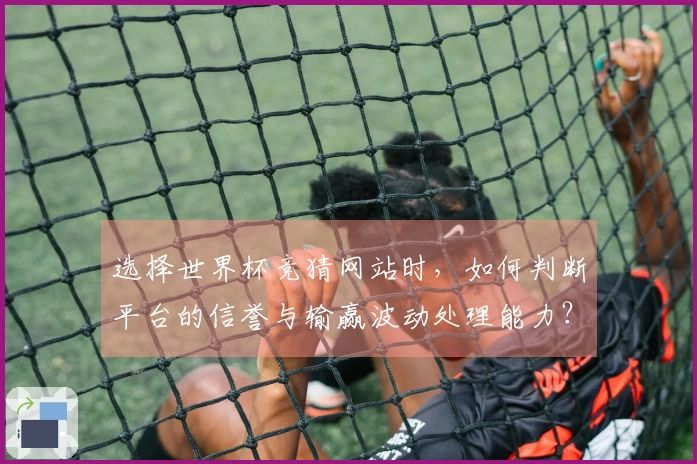 选择世界杯竞猜网站时，如何判断平台的信誉与输赢波动处理能力？