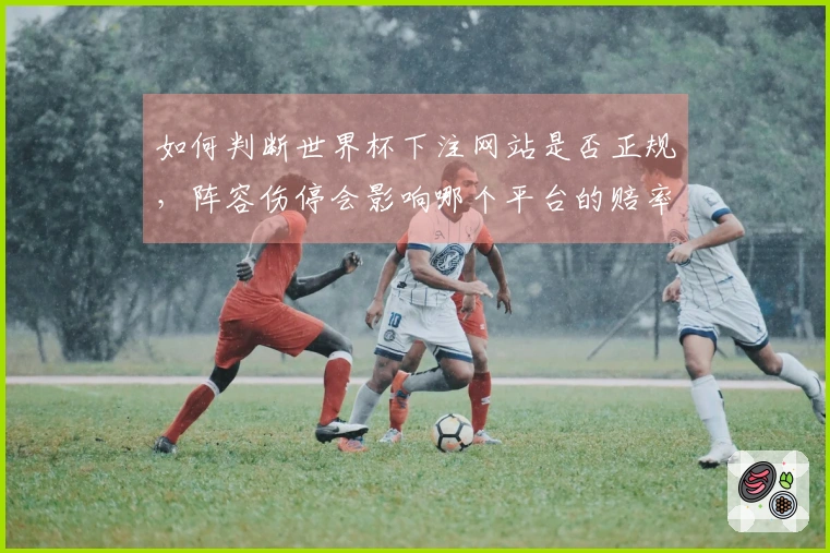 如何判断世界杯下注网站是否正规，阵容伤停会影响哪个平台的赔率可信度