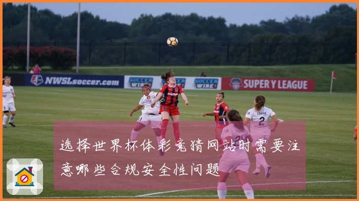 选择世界杯体彩竞猜网站时需要注意哪些合规安全性问题