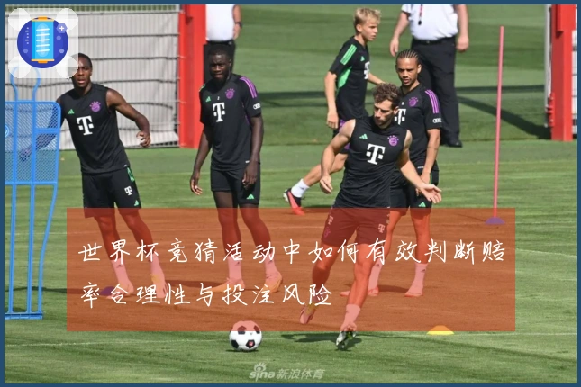 世界杯竞猜活动中如何有效判断赔率合理性与投注风险