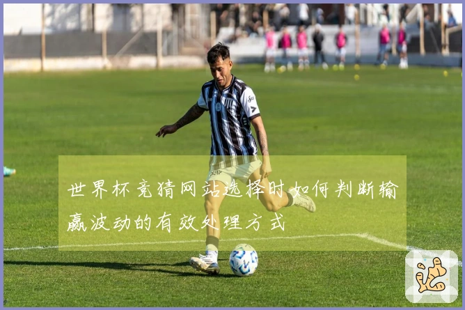 世界杯竞猜网站选择时如何判断输赢波动的有效处理方式