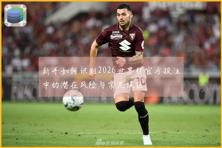 新手如何识别2026世界杯官方投注中的潜在风险与常见误区