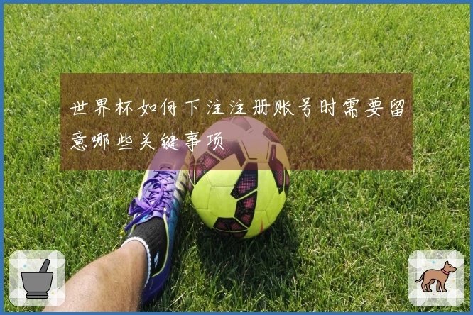 世界杯如何下注注册账号时需要留意哪些关键事项