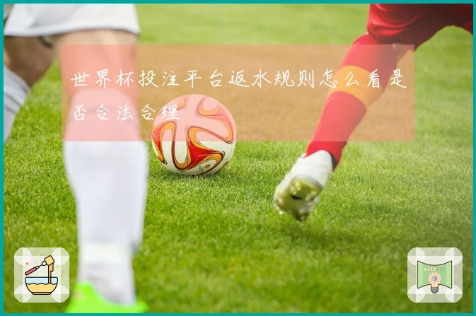 世界杯投注平台返水规则怎么看是否合法合理