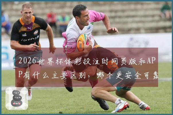 2026世界杯体彩投注时网页版和APP有什么主要区别，哪个更安全可靠？