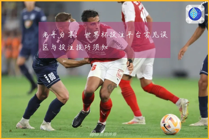 老手分享：世界杯投注平台常见误区与投注技巧须知