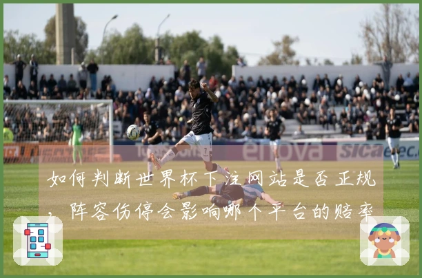 如何判断世界杯下注网站是否正规，阵容伤停会影响哪个平台的赔率可信度
