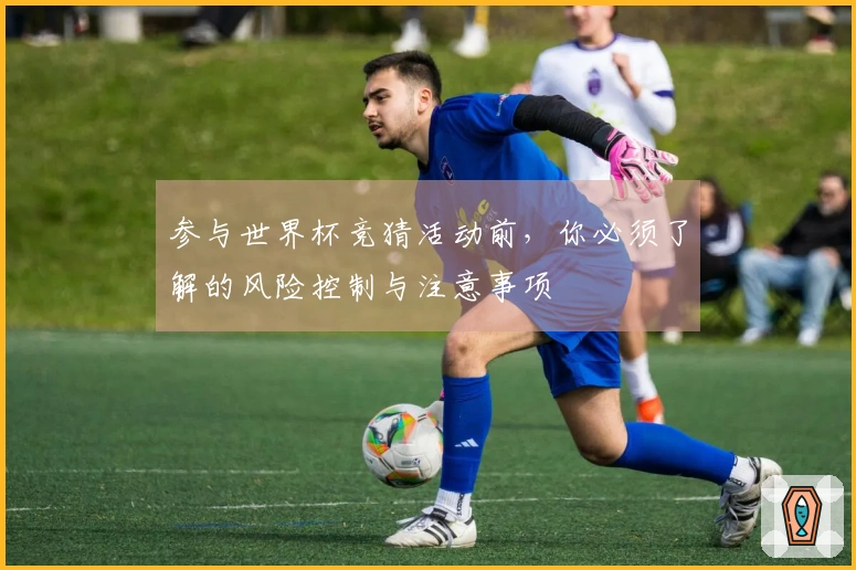 参与世界杯竞猜活动前，你必须了解的风险控制与注意事项