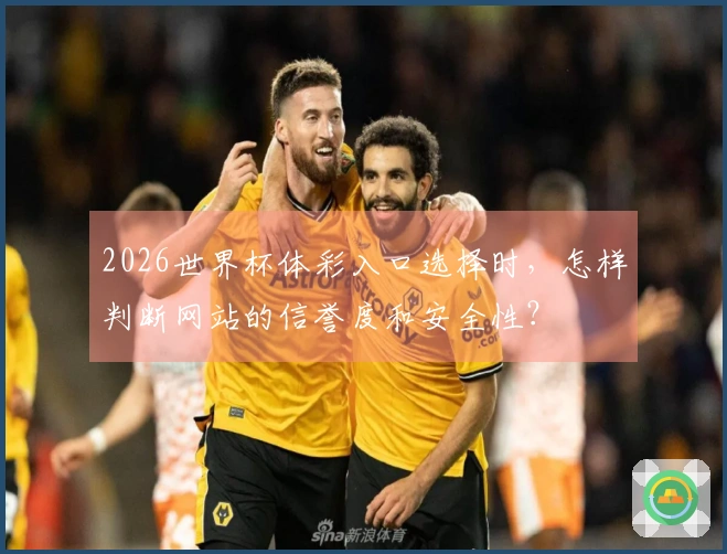 2026世界杯体彩入口选择时，怎样判断网站的信誉度和安全性？