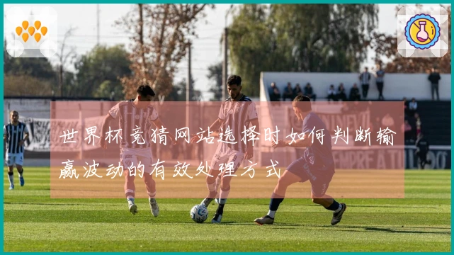 世界杯竞猜网站选择时如何判断输赢波动的有效处理方式