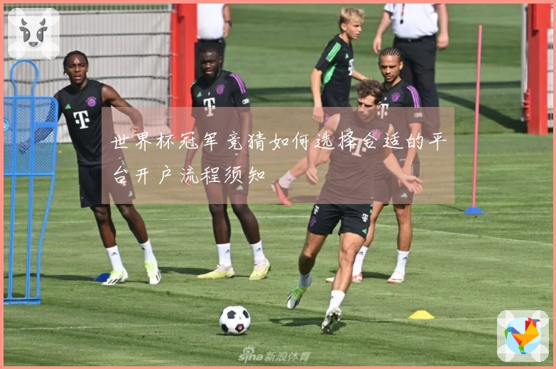 世界杯冠军竞猜如何选择合适的平台开户流程须知