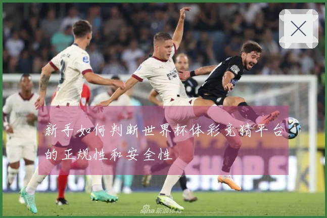 新手如何判断世界杯体彩竞猜平台的正规性和安全性