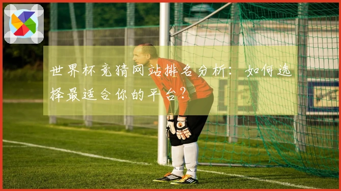 世界杯竞猜网站排名分析：如何选择最适合你的平台？