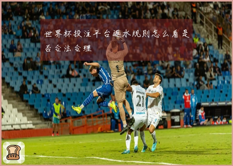 世界杯投注平台返水规则怎么看是否合法合理