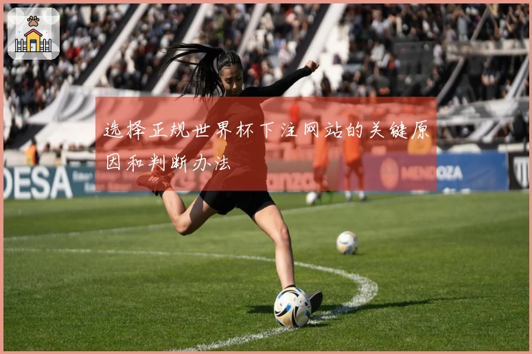 选择正规世界杯下注网站的关键原因和判断办法