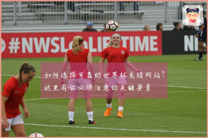 如何选择可靠的世界杯竞猜网站？这里有你必须注意的关键要素
