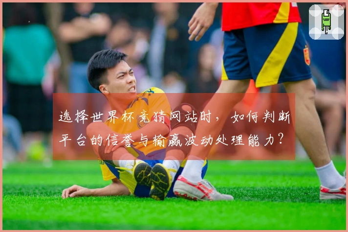 选择世界杯竞猜网站时，如何判断平台的信誉与输赢波动处理能力？