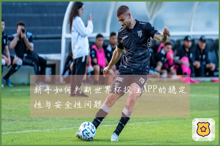 新手如何判断世界杯投注APP的稳定性与安全性问题