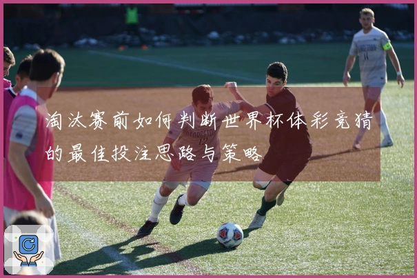 淘汰赛前如何判断世界杯体彩竞猜的最佳投注思路与策略