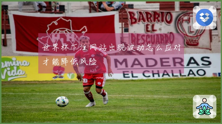 世界杯下注网站出现波动怎么应对才能降低风险