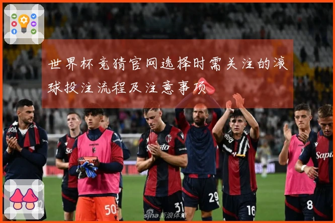 世界杯竞猜官网选择时需关注的滚球投注流程及注意事项
