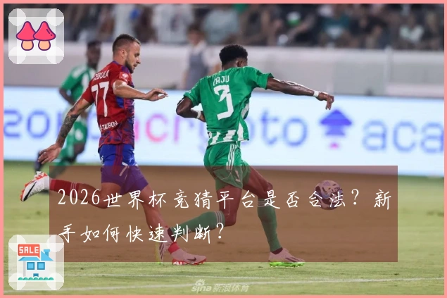 2026世界杯竞猜平台是否合法？新手如何快速判断？